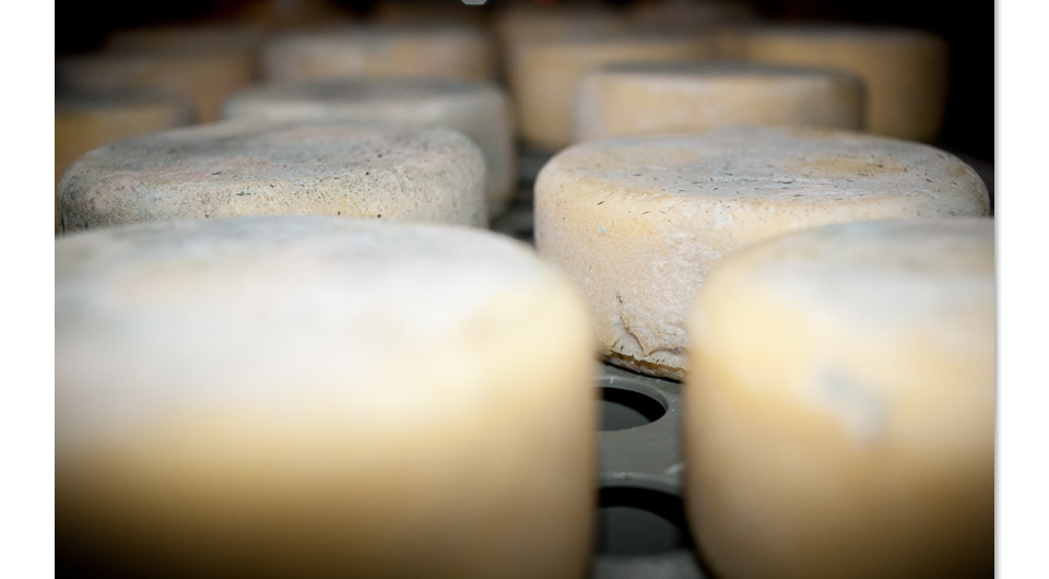 07-Bergonnes_2014 - Copie.jpg