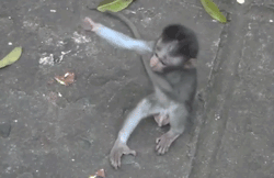 giphy (16).gif