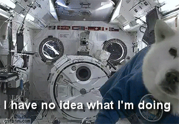 giphy (4).gif