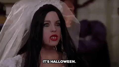 giphy (33).gif