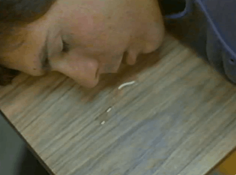 9.gif