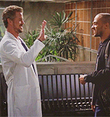 giphy (10).gif