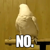 giphy (14).gif