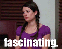 giphy (28).gif