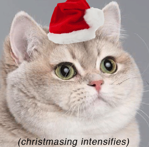 giphy (16).gif