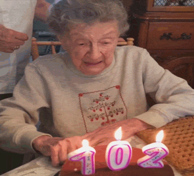 giphy (3).gif