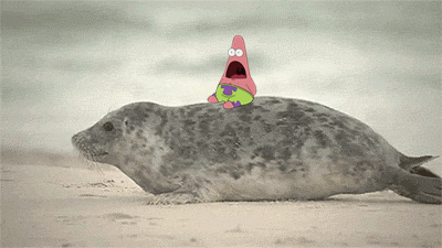 giphy (19).gif