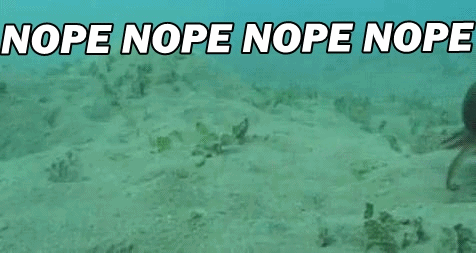 giphy (5).gif