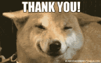 giphy (24).gif
