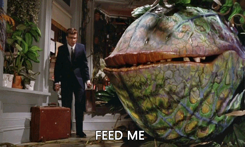 giphy (4).gif