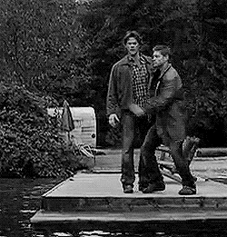 giphy (7).gif