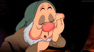 giphy (5).gif