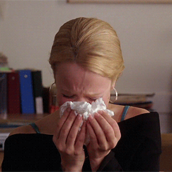 giphy (15).gif