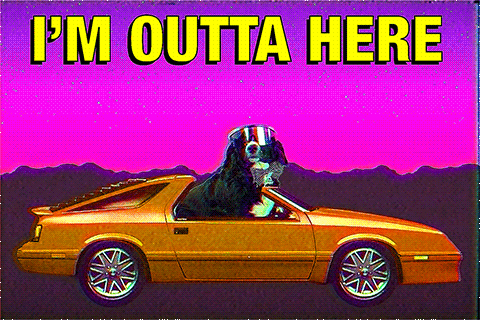 giphy-downsized-large.gif