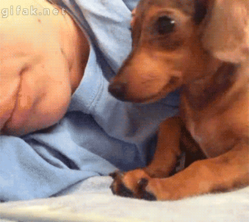 8.gif
