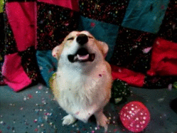 giphy (30).gif