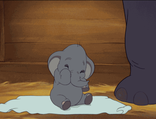 giphy (9).gif