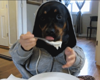 giphy copy 2.gif