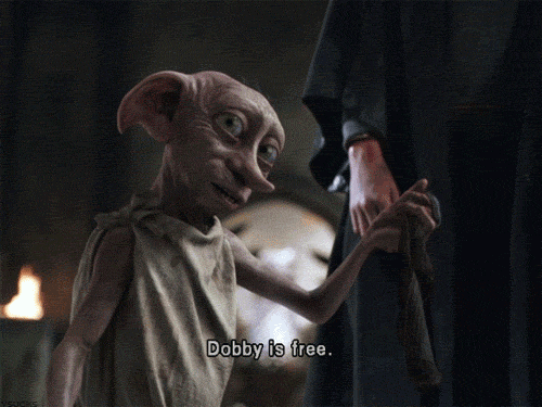 giphy (18).gif