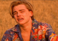 giphy (2).gif