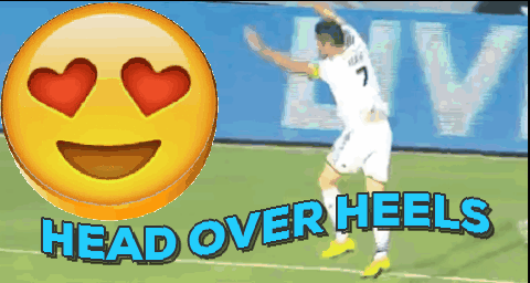 giphy.gif