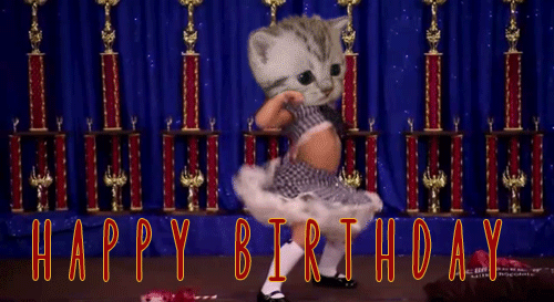 giphy (6).gif