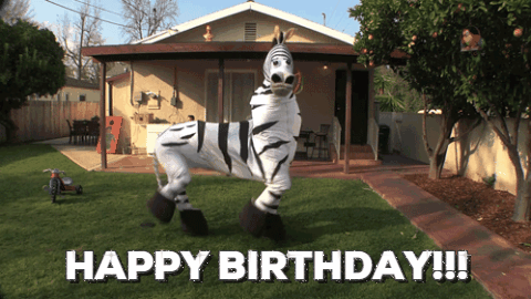 giphy (25).gif