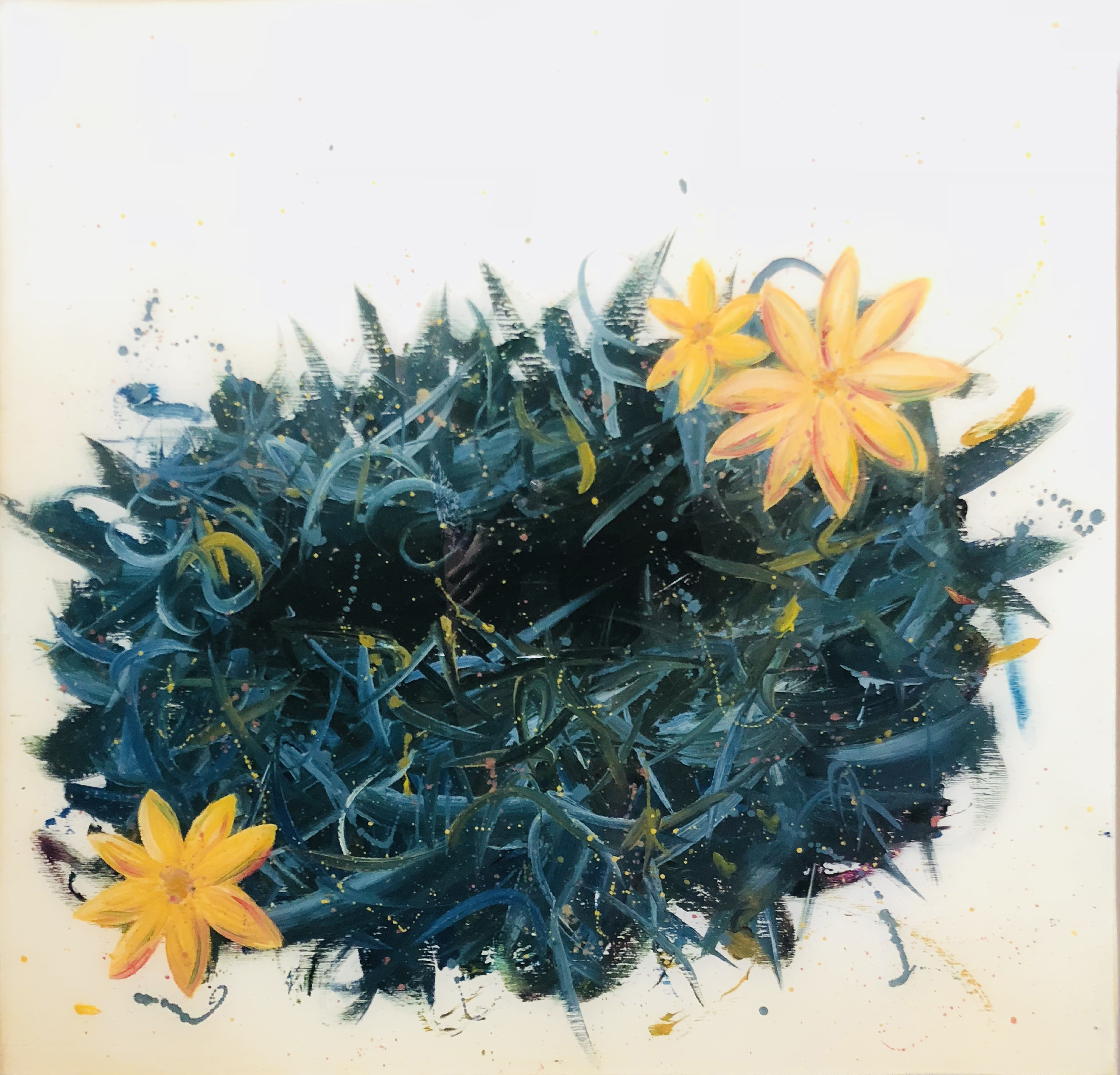 Blue with Yellow Flowers
