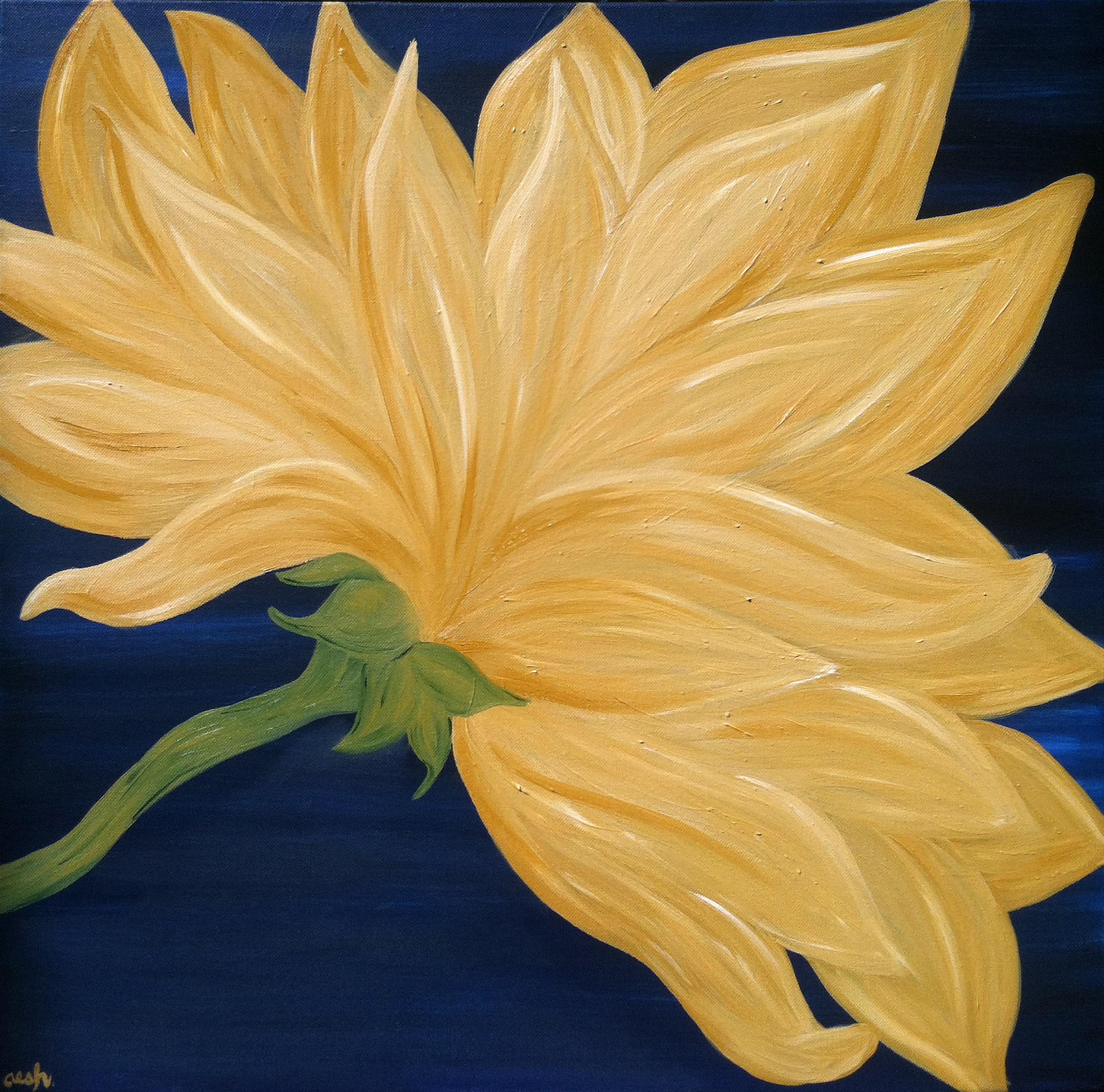 Sunflower 2