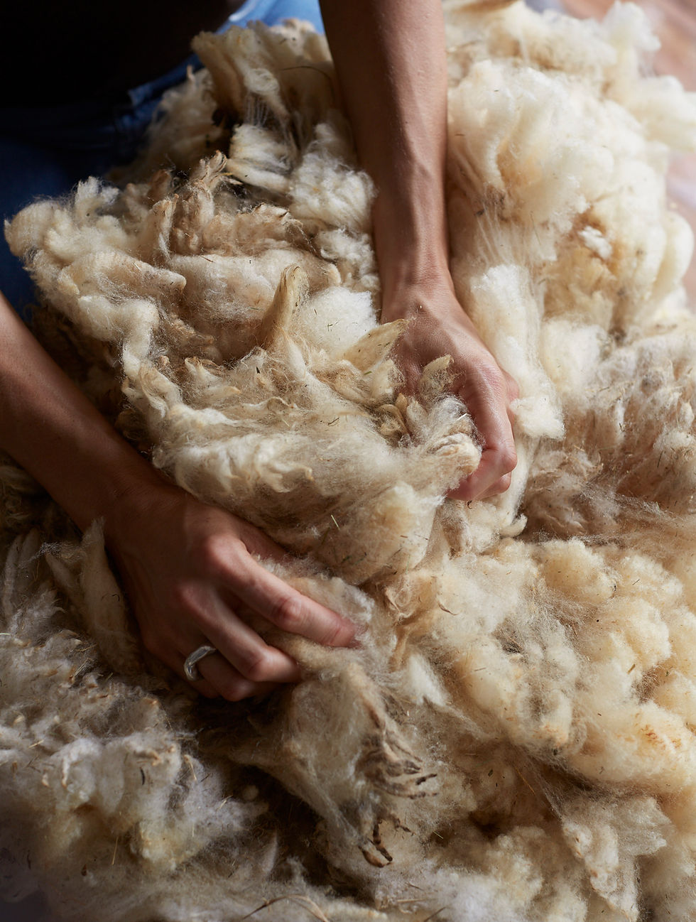 Wool Is the Future of Equestrian Arena Surfaces.