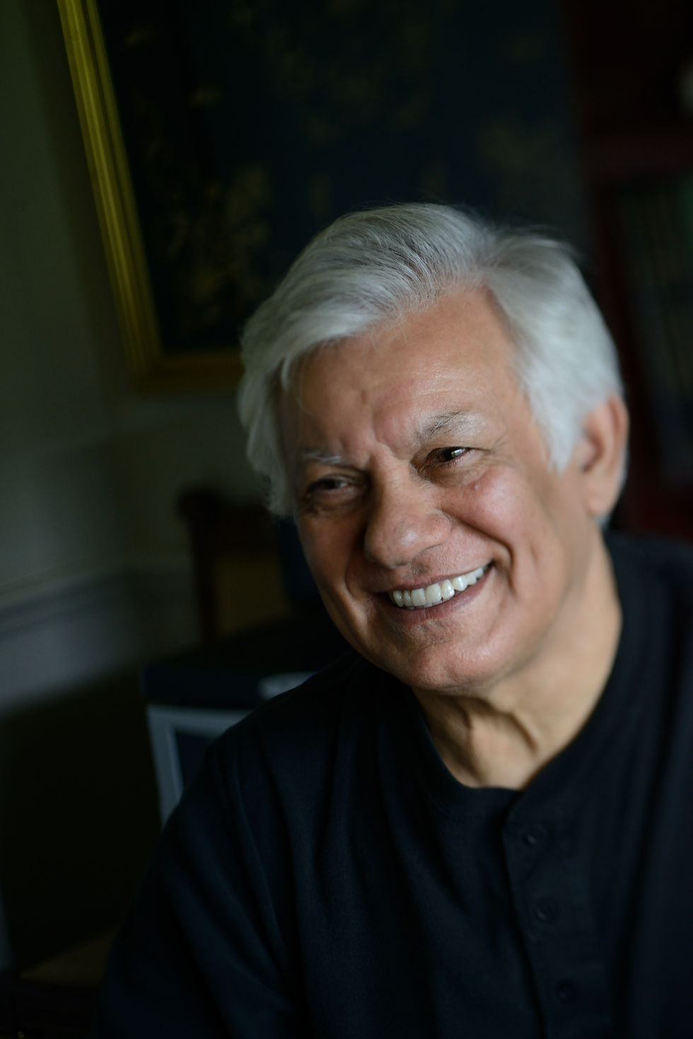 Haydar Hatemi at Home 14.jpg