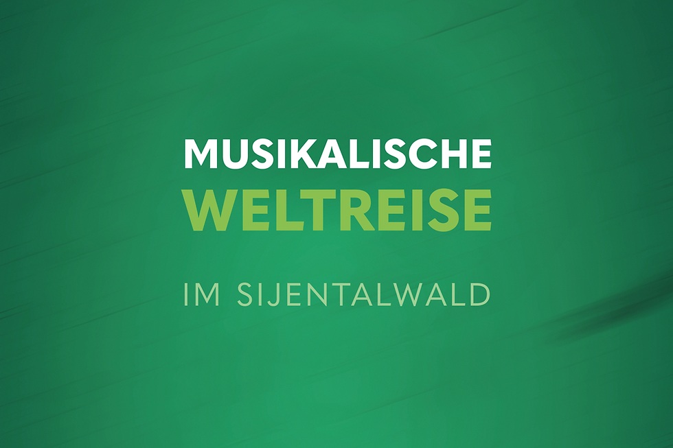 Männlicher Redner