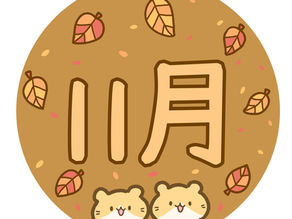 11月のお得情報掲載!