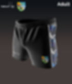 Stormers Sublimated Leisurewear Shorts (Adult)