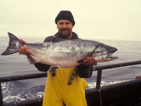 Insects in Fish Diet: a Turning Point for the Sustainability of Animal Nutrition