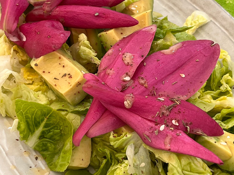 Salade de fleurs de magnolia, photo de la recette