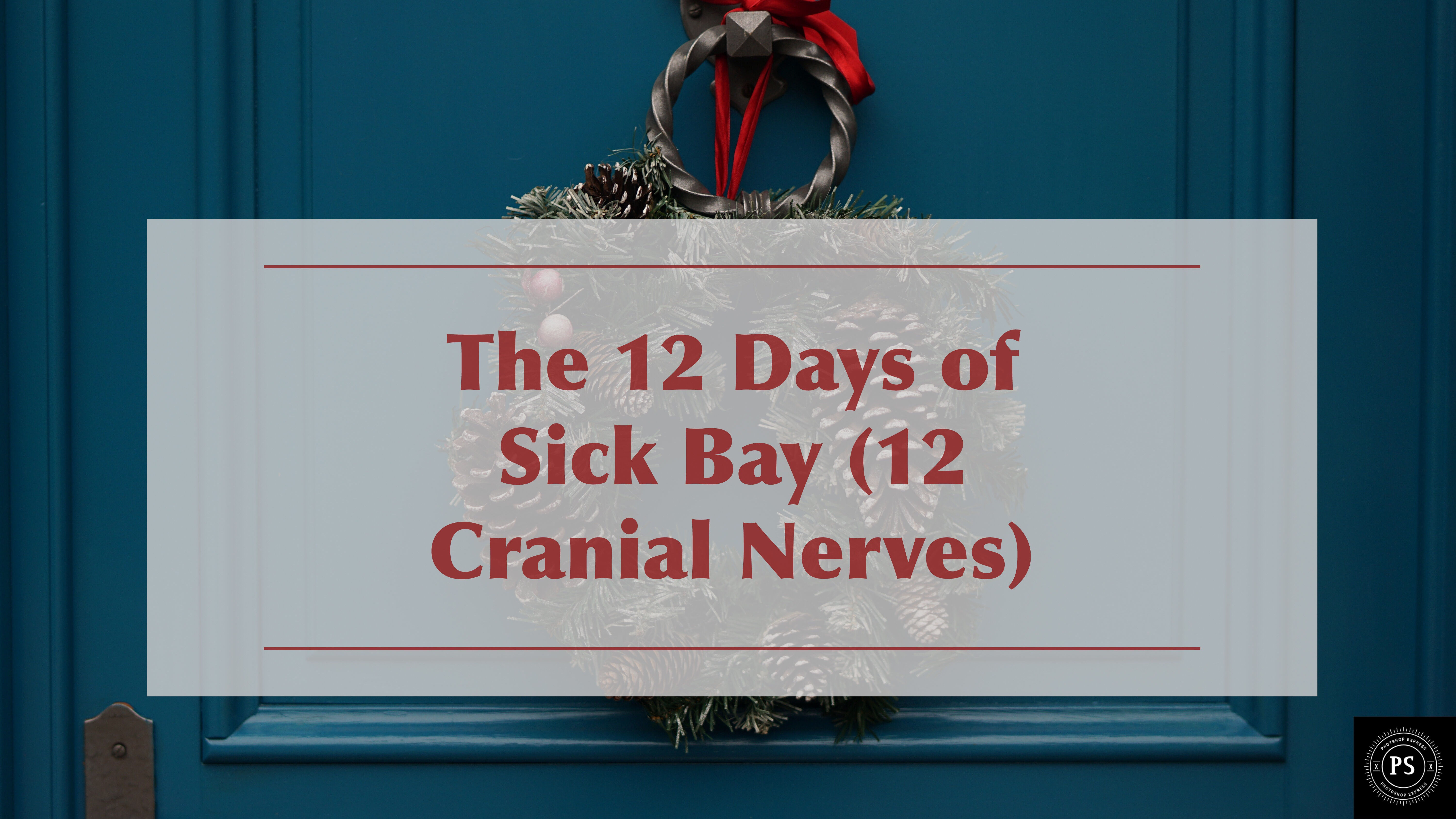 Memorize the 12 Cranial Nerves (12 Days of Sick Bay)