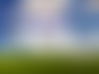 What Insurance Do I Already Have?