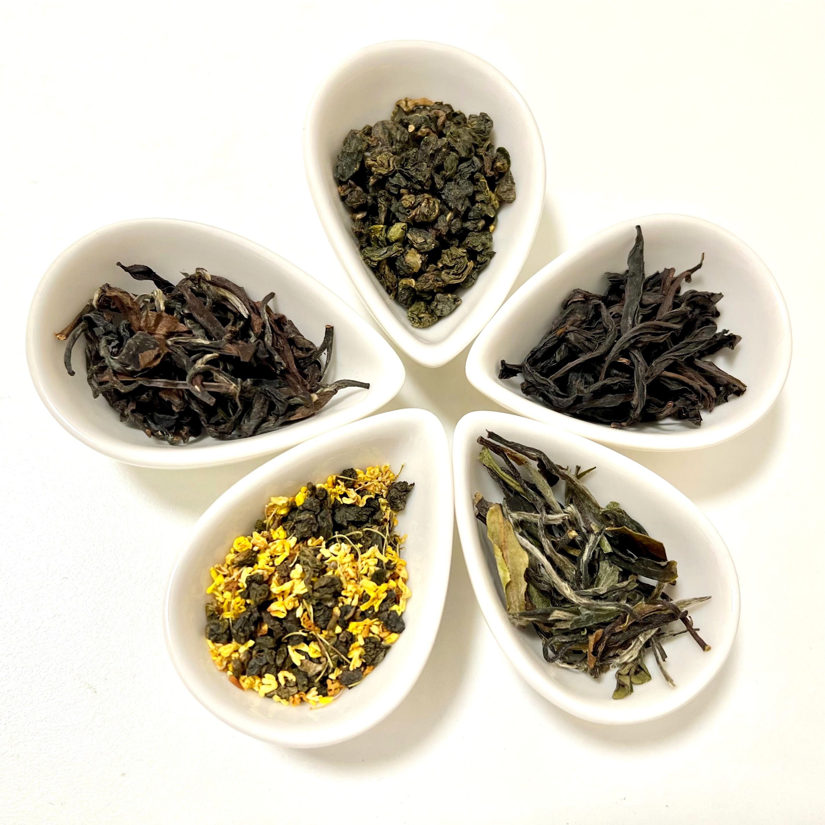 2.5g　５種セット