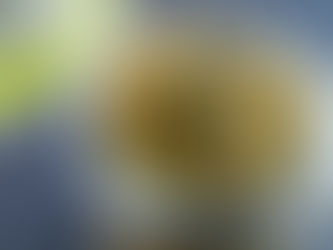 DOES THE USDA RULE AFFECT HEMP THAT IS CURRENTLY ON THE MARKET?