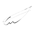 Assiantura-removebg-preview.png