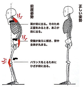 姿勢