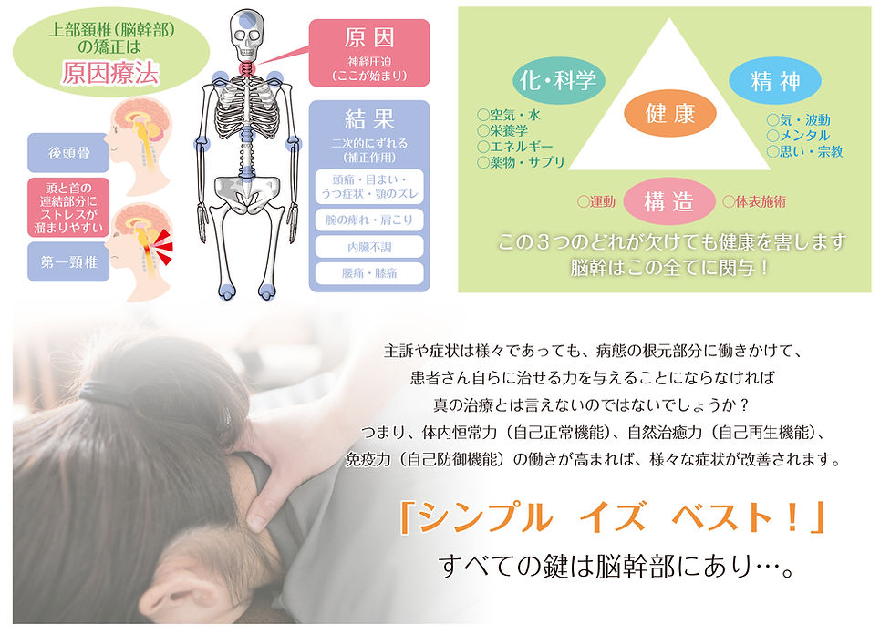 原因療法