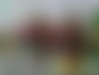 Ciri Ciri Penderita Penyakit Sipilis