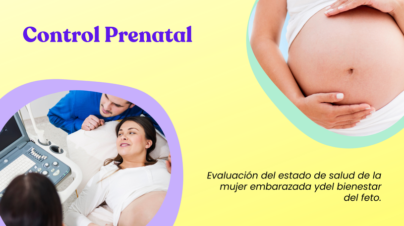 Control prenatal, cuidado de la embarazada y el feto.