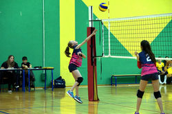 46391153_2300519026844197_60672911599216