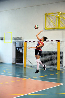 42435648_2268130043416429_48549911483320