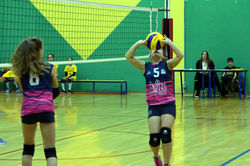 46474758_2300515733511193_45073294714596