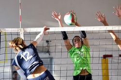 42447152_2268145716748195_25547404785955