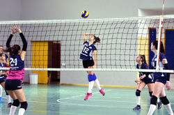 46499317_2303106363252130_83770327538996